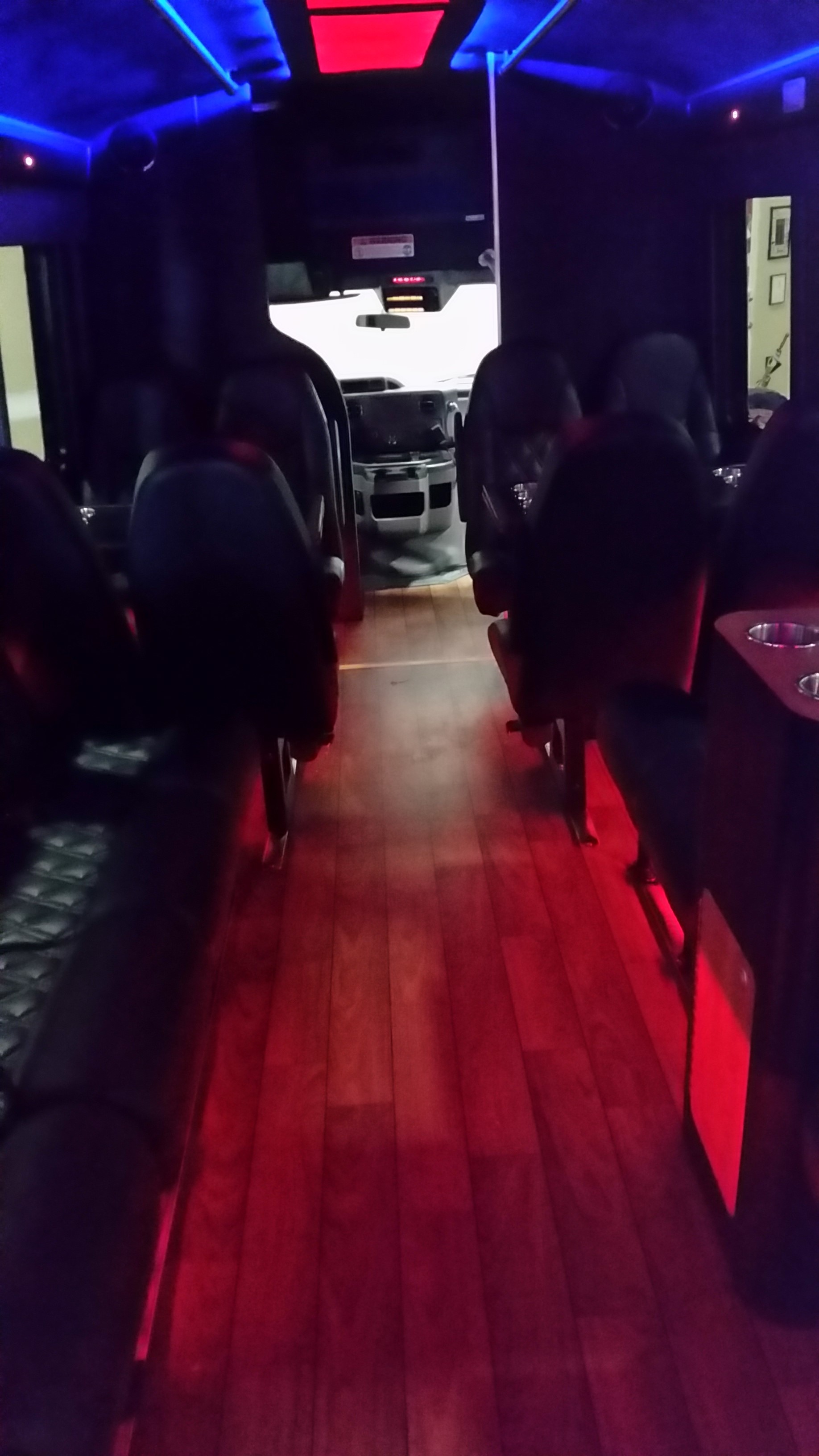 LIMO BUS (2)